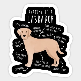 Yellow Labrador Retriever Dog Anatomy Sticker